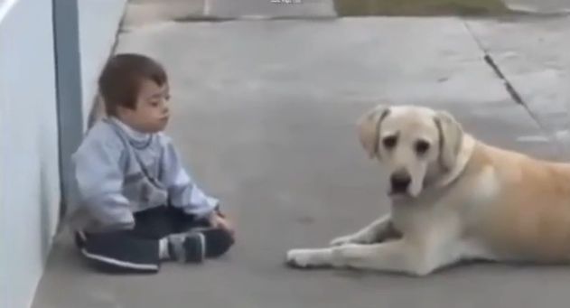 Dojímave video: Chlapček s Downovým syndrómom odmieta lásku labradora